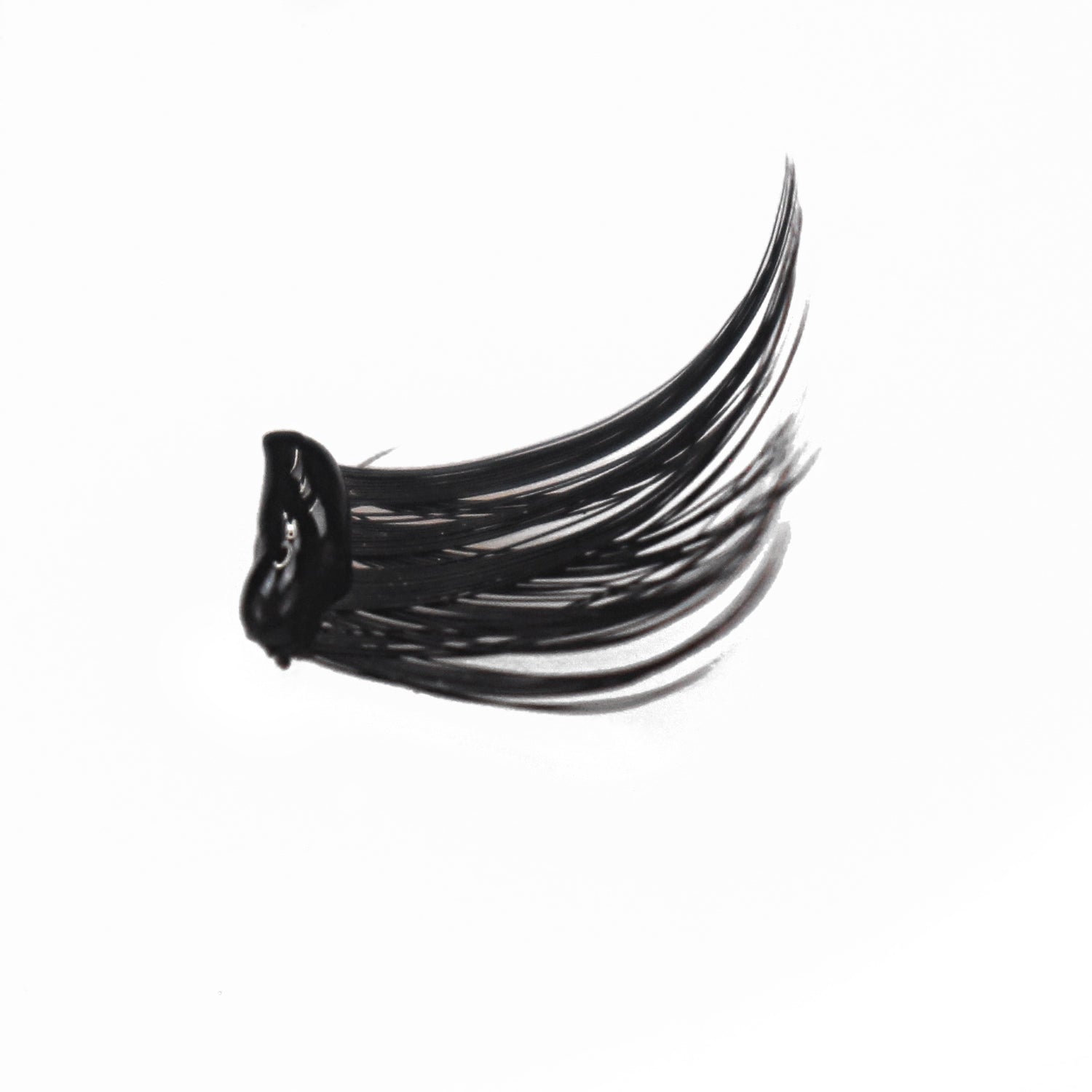 Lash Glue + Water Dropper